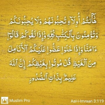 Kondisi ummat islam hr ini...