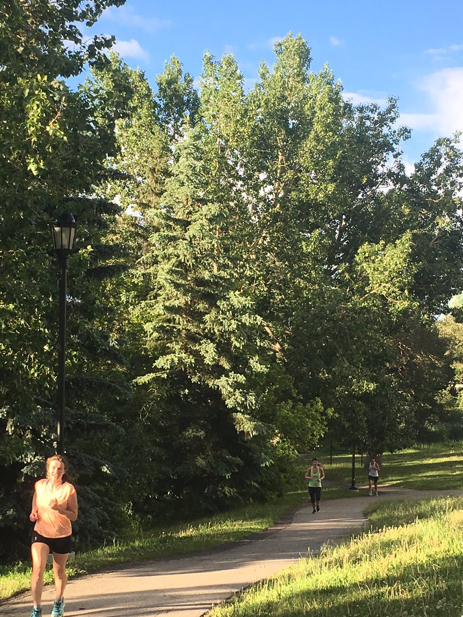 jvdcoach's tweet photo. Turned into a decent evening for the @RepsolSport #3433SPC triathlon club's Brick session. Running fast through Lindsay Park! https://t.co/T7yAiusNnn