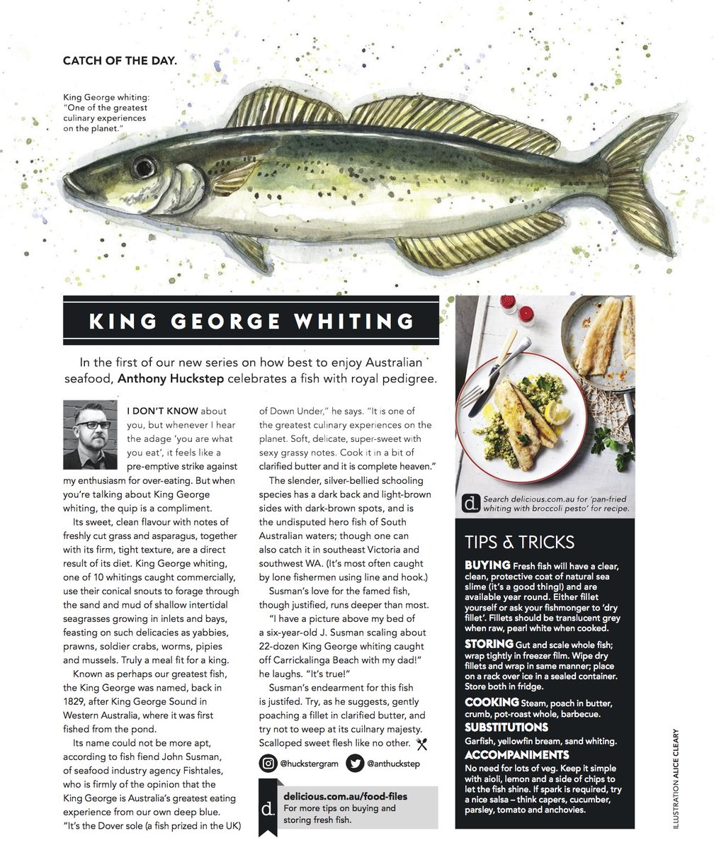"It's one of the greatest culinary experiences on the planet.."
@Fisheads on KING GEORGE WHITING, by <a href="/AntHuckstep/">Mr Anthony 'Huck' Huckstep</a> in <a href="/deliciousAUS/">delicious. Australia</a> #OutToday