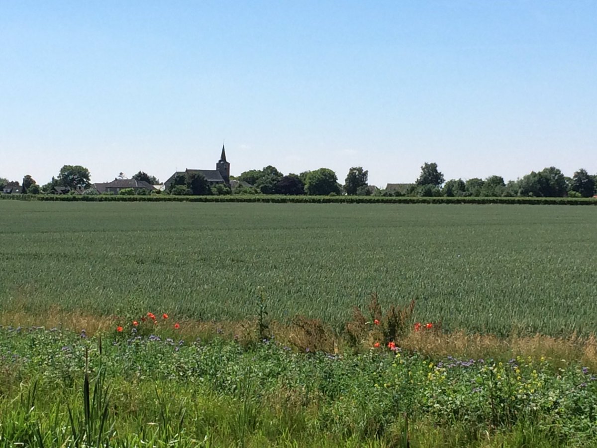Akkerranden beginnen al te bloeien! #mooiplaatje