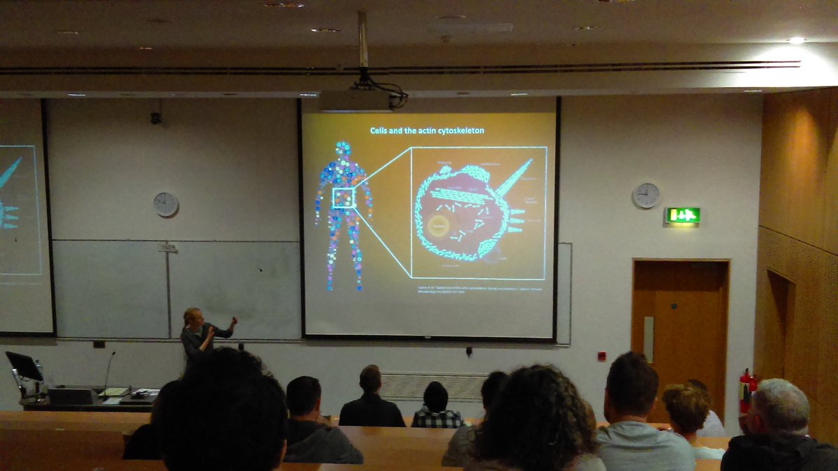 SBES postgrad tweet media