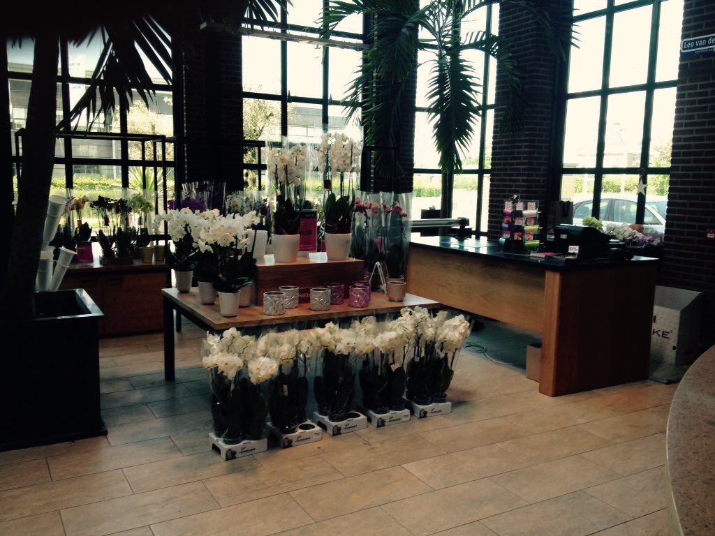 Levo Shop tweet media