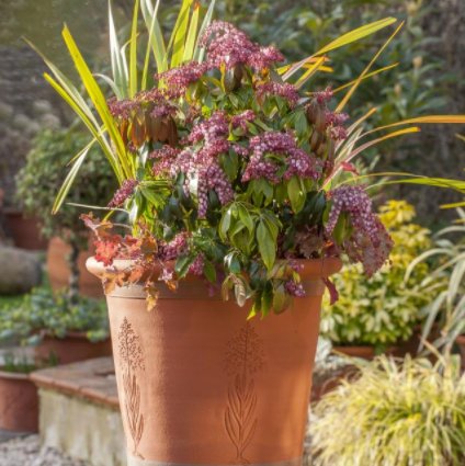 The Chelsea Magazine Company (@chelsea_mags) on Twitter photo To celebrate 20 Years of <a href="/TEGmagazine/">The English Garden</a> we partnered with <a href="/WhichfordPots/">Whichford Pottery</a> to create our own stunning pot, on sale now: bit.ly/2sdOfd5 To celebrate 20 Years of <a href="/TEGmagazine/">The English Garden</a> we partnered with <a href="/WhichfordPots/">Whichford Pottery</a> to create our own stunning pot, on sale now: bit.ly/2sdOfd5