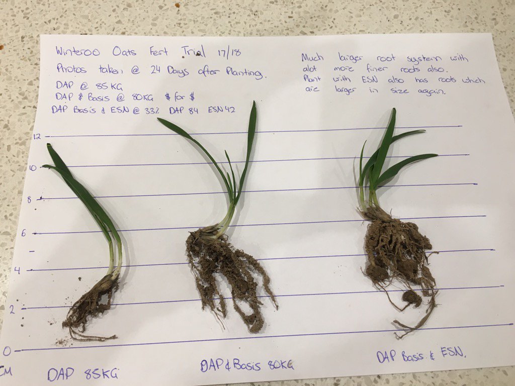 John McKenzie tweet media