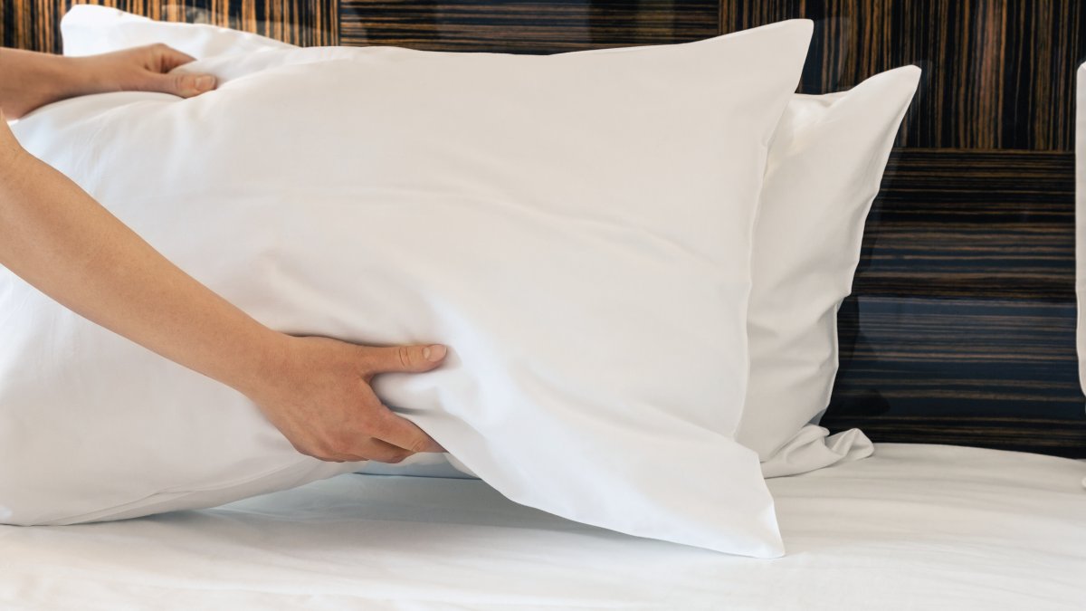 Treat your dad like the KING he is - Buy 1 King Pillow and get 1 FREE .. offer ends today at Loads of Living #loadsofluxury #luxuryforless