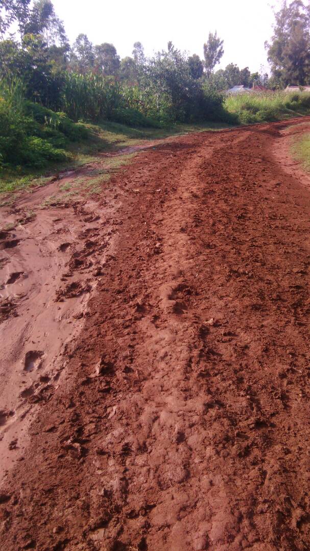 DUNCANOYONDI1's tweet photo. #AsekaForKhwisero poor road network will become a history in Khwisero https://t.co/tokjZDAgIU