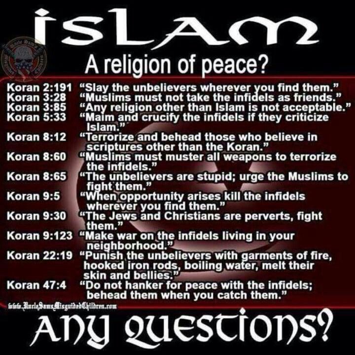 MavsPits's tweet photo. @mark_melbin @AussiesAllUnite @AlanMcCould @mpsmithnews @turdface68 @lyingpollies @Mass_debater @NotHappyJann @Carr1Graham @den2114 @PetefromHayNSW @w0tn0t @Tonythegreat89 @LLDecide @angel22mi @Omnicentrist @Kazzjud @Pussaluss123 @888Scott @DanielAndrewsMP @AustralianLabor @SBS @DIBPAustralia @DailyMailAU @PaulineHansonOz @TomElliott3AW @StevePriceMedia @theboltreport @PeterDutton_MP @ABCaustralia @abcnews @TurnbullMalcolm @BBCOS @CNN @BBC @TheTruthOneTwo @gilli5 @PeeSparkle @NoahGonzalezUSA @YouShopDirect @TEN_GOP @geertwilderspvv @guardian @AmyMek @MrKRudd @JuliaGillard Nothing2Do with islam?im sick of ppl like you.Just a few radicals you say?5Times3Hrs every single day,they pray2this. https://t.co/DwTGN9LsHS
