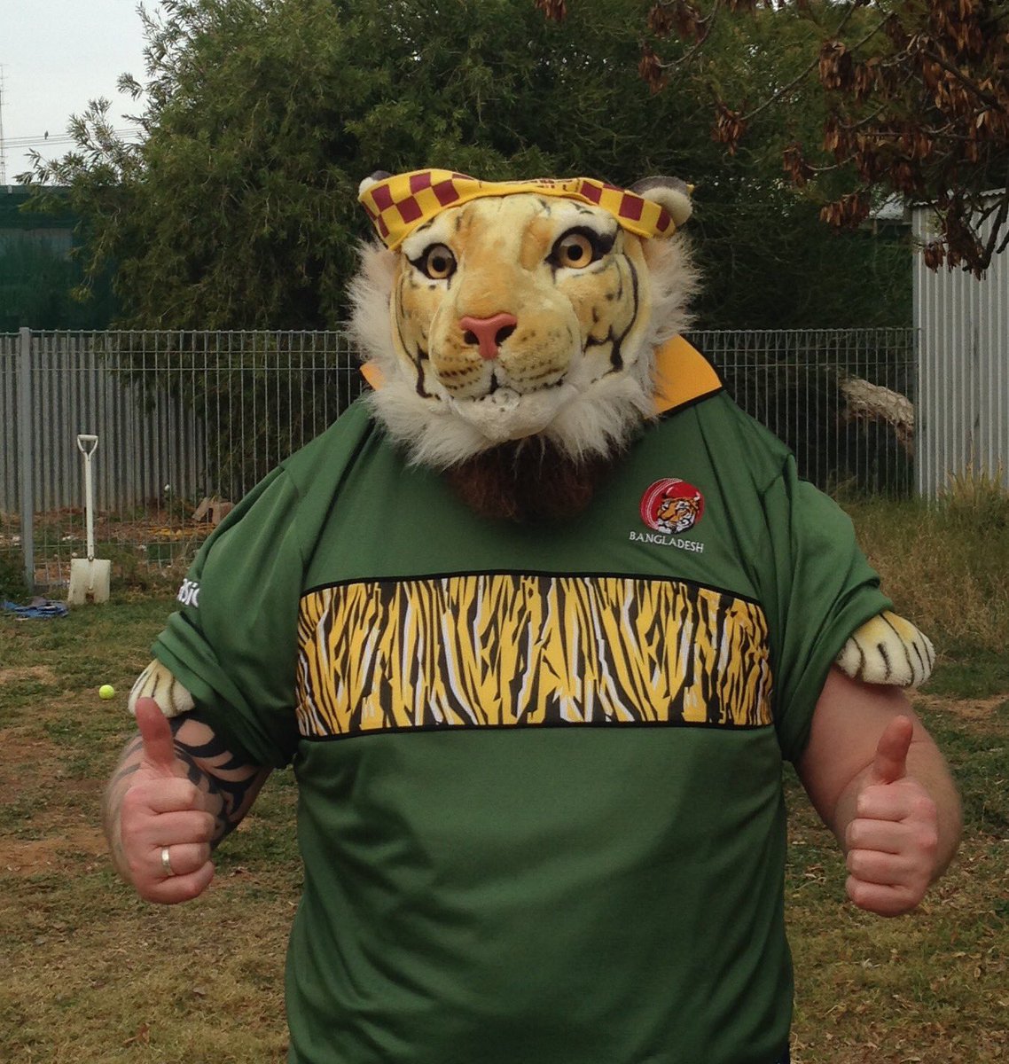 RedbackJim's tweet photo. @picklesandbonz @RisdonCricket clubs #TerryTiger onboard the #BangladeshTigerTrain! https://t.co/74Frm4wMW7