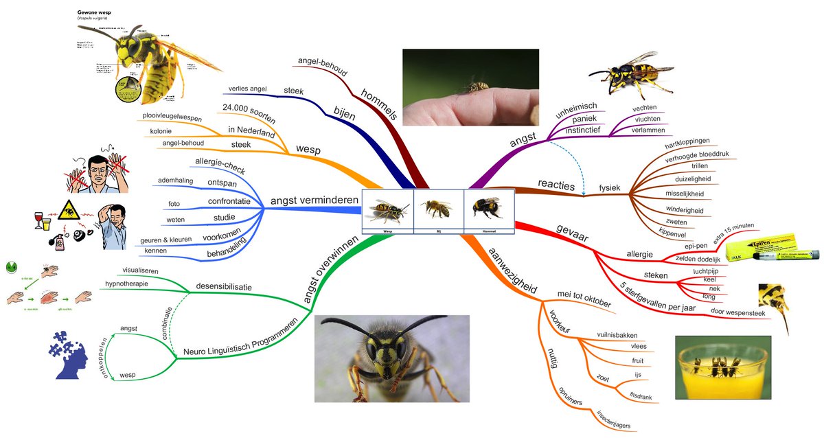 peterteriele's tweet image. Mooi van een mindmap is dat je er voortdurend verbeteringen kunt aanbrengen. Digitaal gaat dat al helemaal gemakkelijk. Een mindmap groeit!
