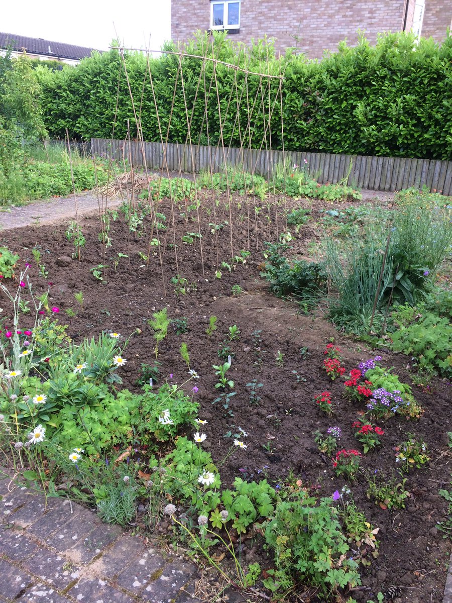 thymeZgrow's tweet photo. Milburn Road Community Garden is coming on slowly, glad to now have water supply. Lots of potential for sharing plants with Yarl's Wood. https://t.co/14sSCHbGzT