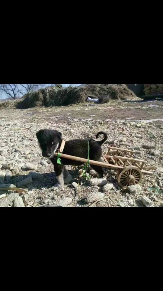 Өнөөдрийн харсан хамгийн хөөрхөн зураг