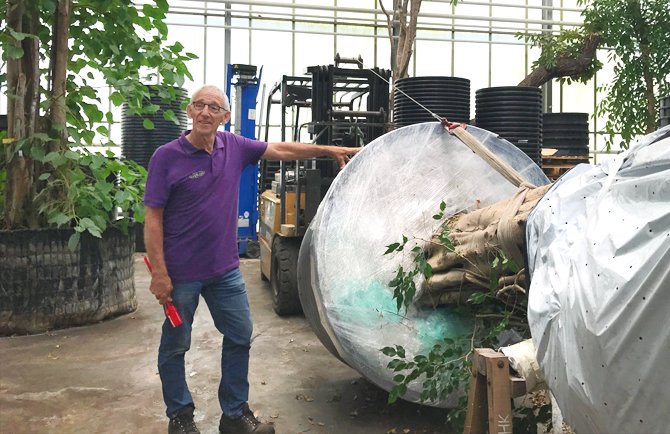 Floraviva tweet media