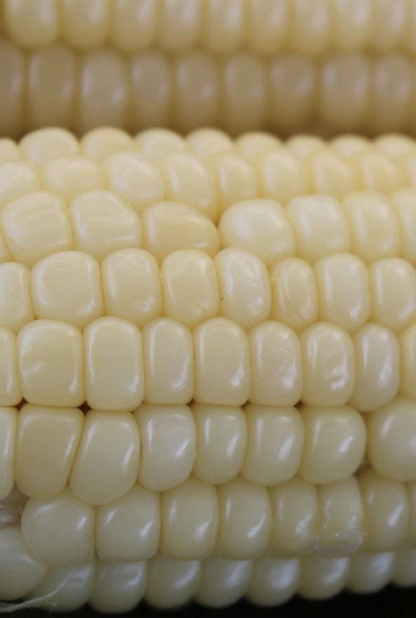 2017년 충북 음성
햇 찰옥수수
1망 30개
18.000원 무료배송
010-4939-1147