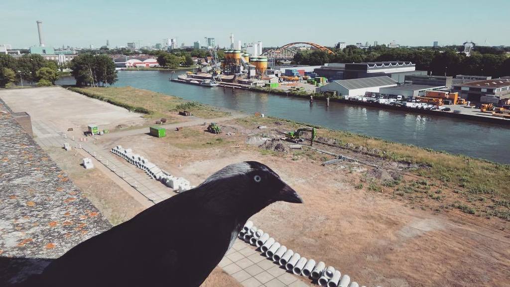 RooiePeperTweet's tweet photo. Currently we are making a timelapse of the construction that is taking place in #utrecht for the district heating … https://t.co/Ef56xDXMWf https://t.co/5OLpEAFgvH
