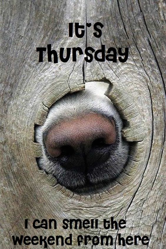 Good morning everyone. The weekend is now in sight!
#ThursdayThoughts #thursdaymotivation #thursdaymorning