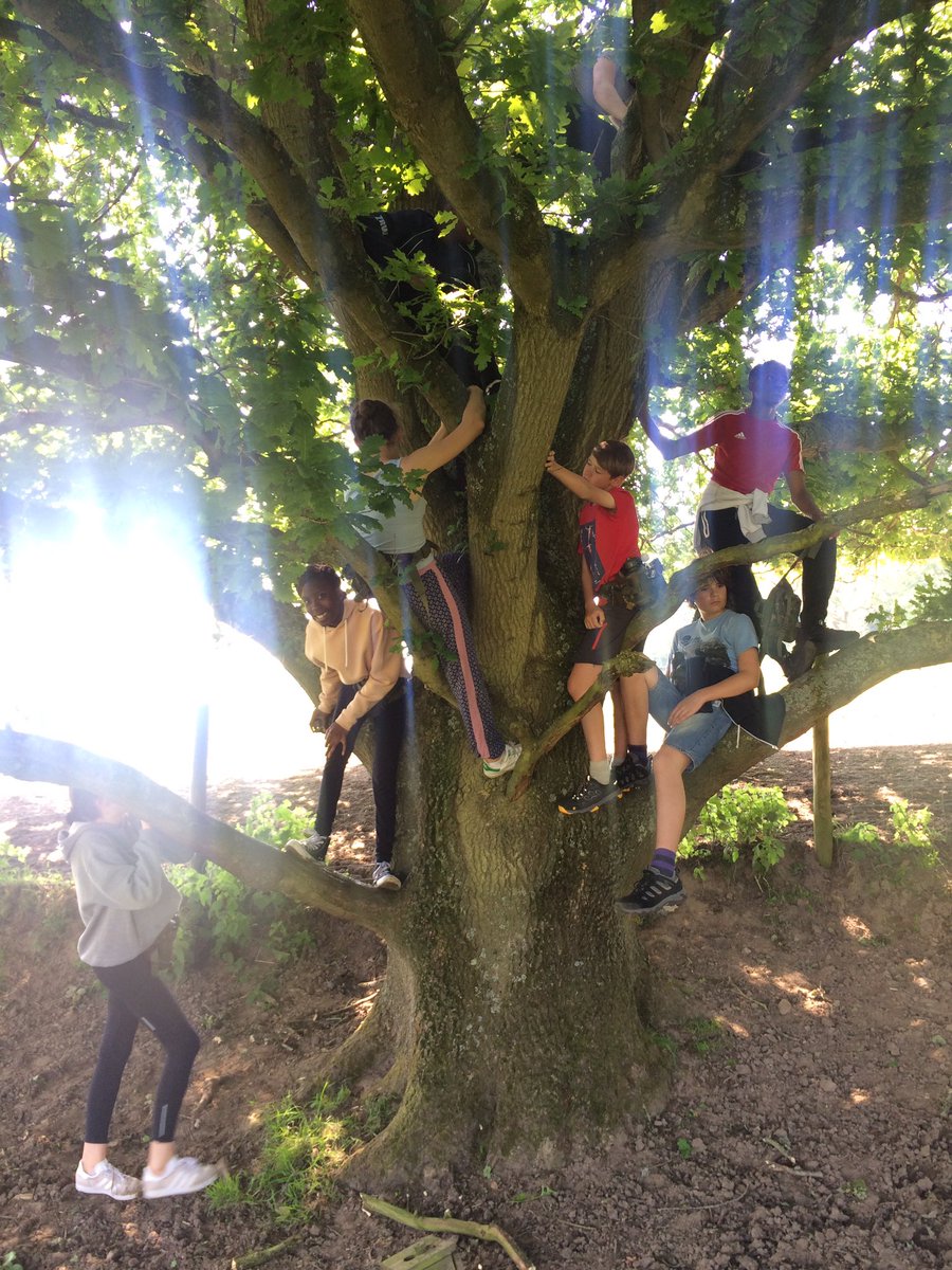 Another brilliant day for camp 🌳☀️ #BootCamp2017 #CCF