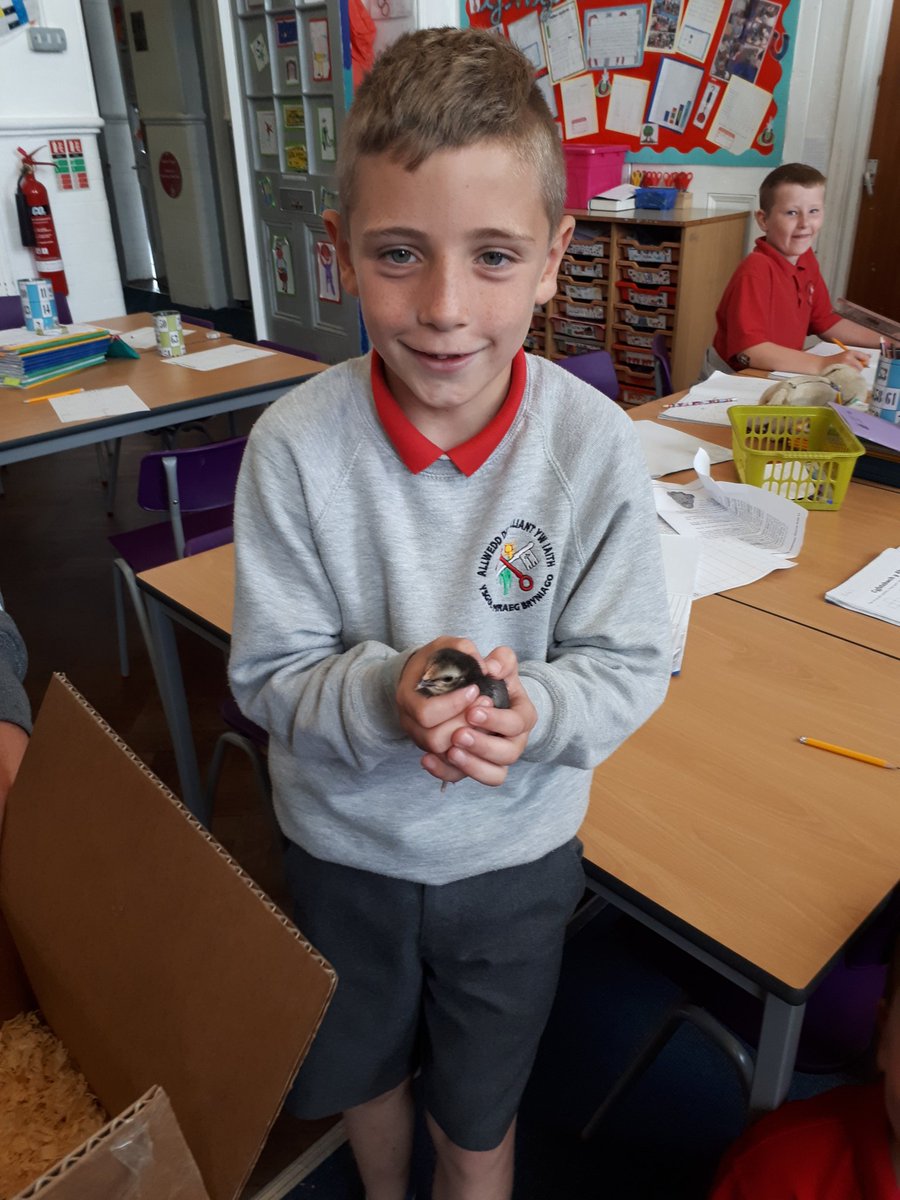 CA2Bryniago's tweet photo. Ymwelwyr i flwyddyn 3 bore 'ma! Visitors to year 3 this morning! #tweetsfromclass https://t.co/BRFmV1Dvpr