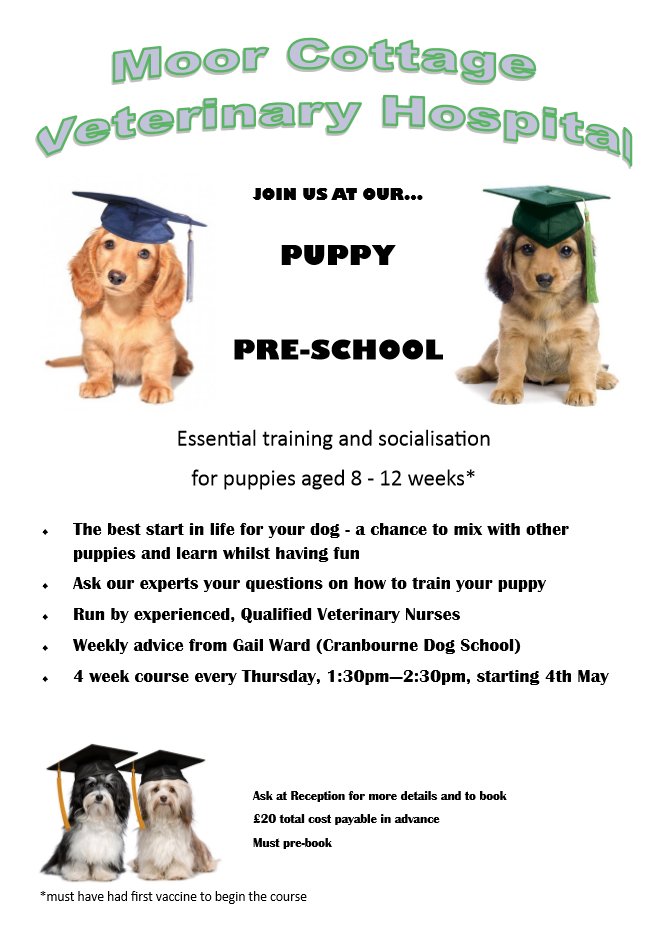 MoorCottage's tweet photo. Join us at our puppy pre-school. Essential training and socialisation for puppies ages 8 - 12 weeks* https://t.co/UNOnHrywDf