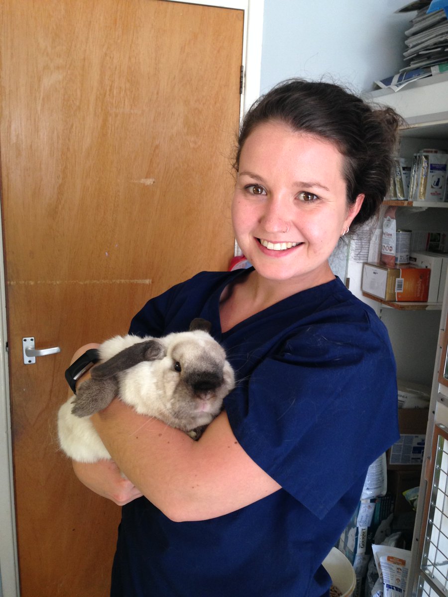 savsnet's tweet photo. Flystrike season is here! Data shows most cases June-Sept. Warn #rabbit owners, especially in @rabbitawareness wk https://t.co/HEEv9jYpbt https://t.co/Xgd2s9pf2m