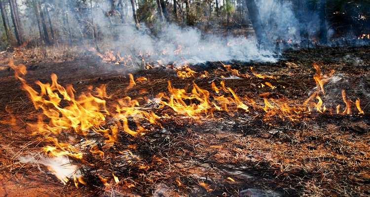 Tibudrones's tweet photo. La Comunidad Valenciana incluirá a los #drones en su plan de #emergencias. https://t.co/9qDBqLvm8L #incendios https://t.co/XqkJBSdIAK
