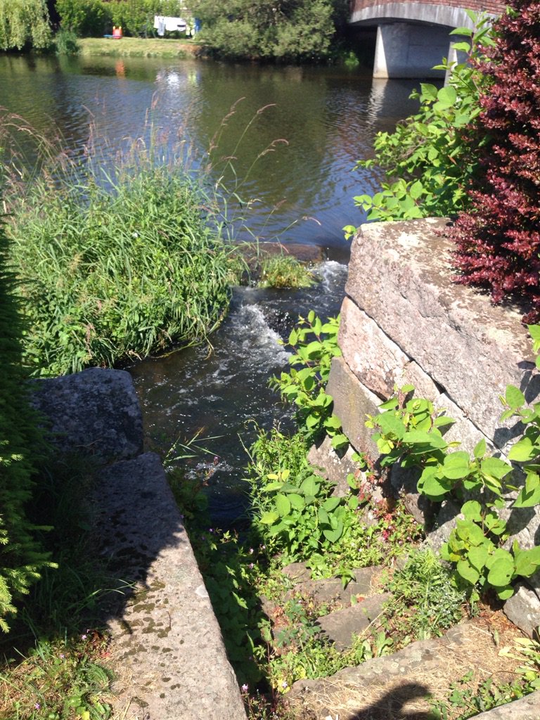 rtlgrandest's tweet photo. La #Vologne à #Docelles où a été retrouvé le corps de #Gregory https://t.co/iVQupp8JfL