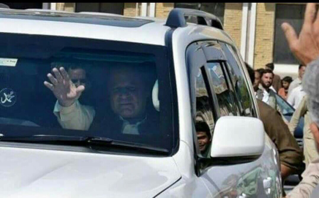 صرف شیر ہی نہیں بلکہ شیر دل بھی.....