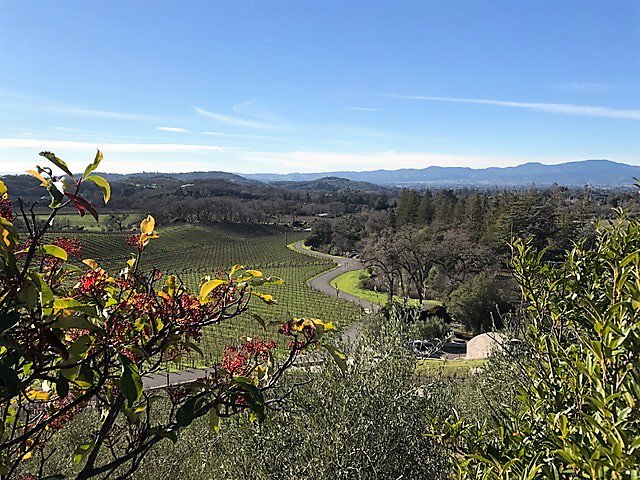 AmericanWineryGuide tweet media