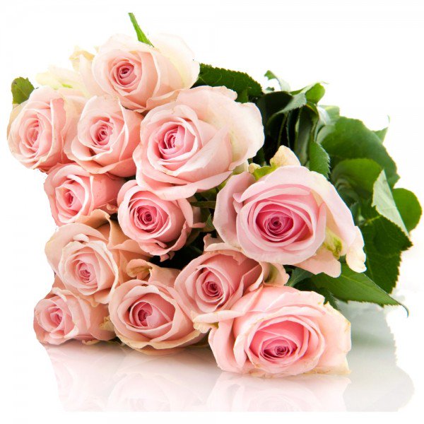 WebOz_'s tweet photo. @SweetAdara ♡  (\(\
      ( • . • )  ♡ GM
┏━∪∪━━━━┓
♡   #EADT1004   ♡ 
┗━━━━♡━━┛
🍬𝓠𝓾𝒆́ 𝓭𝓲𝓼𝒇𝓻𝓾𝓽𝒆𝓼 𝓭𝒆 𝓾𝓷 𝓭𝓲́𝓪 𝓶𝓪𝓻𝓪𝓿𝓲𝓵𝓵𝓸𝓼𝓸, ℱ𝒆𝓵𝓲𝔃 𝓙𝓾𝒆𝓿𝒆𝓼!!💋 https://t.co/2Wn30aC4Uy