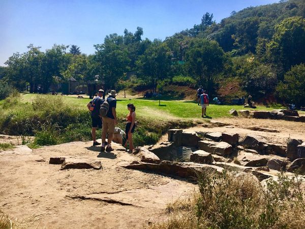 FitFunFusion's tweet image. Sunday Hike and Walk at Klipriviersberg Nature Reserve #Walking #Hiking #Klipriviersberg #Johannesburg #Fitness facebook.com/groups/HikingK… …