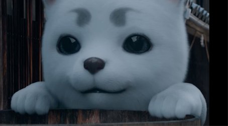 Twitter 上的 Mota 銀魂実写の定春がガチデかわいい 映画も見に行こ 銀魂 映画 T Co Xy1wr5eqzl Twitter