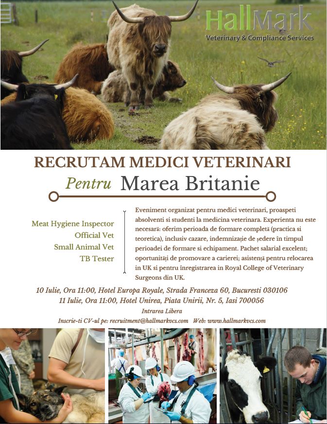 HallMarkVCS's tweet image. Come and see us in Romania to find out about jobs in HallMark! We will be in Bucharest on 10th July and Iasi on 11th July