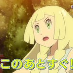 30話まとめ ポケットモンスター サン ムーン ピカチュウ アママイコ ニャビー アニメレーダー
