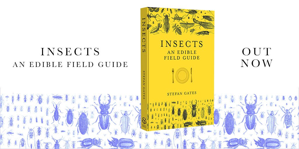 StefanGates tweet media