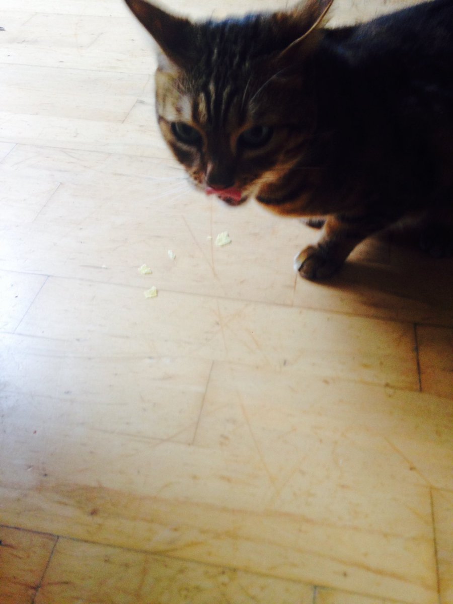 Caviar crisps for my cat? #SpendItWell <a href="/marksandspencer/">M&S</a>