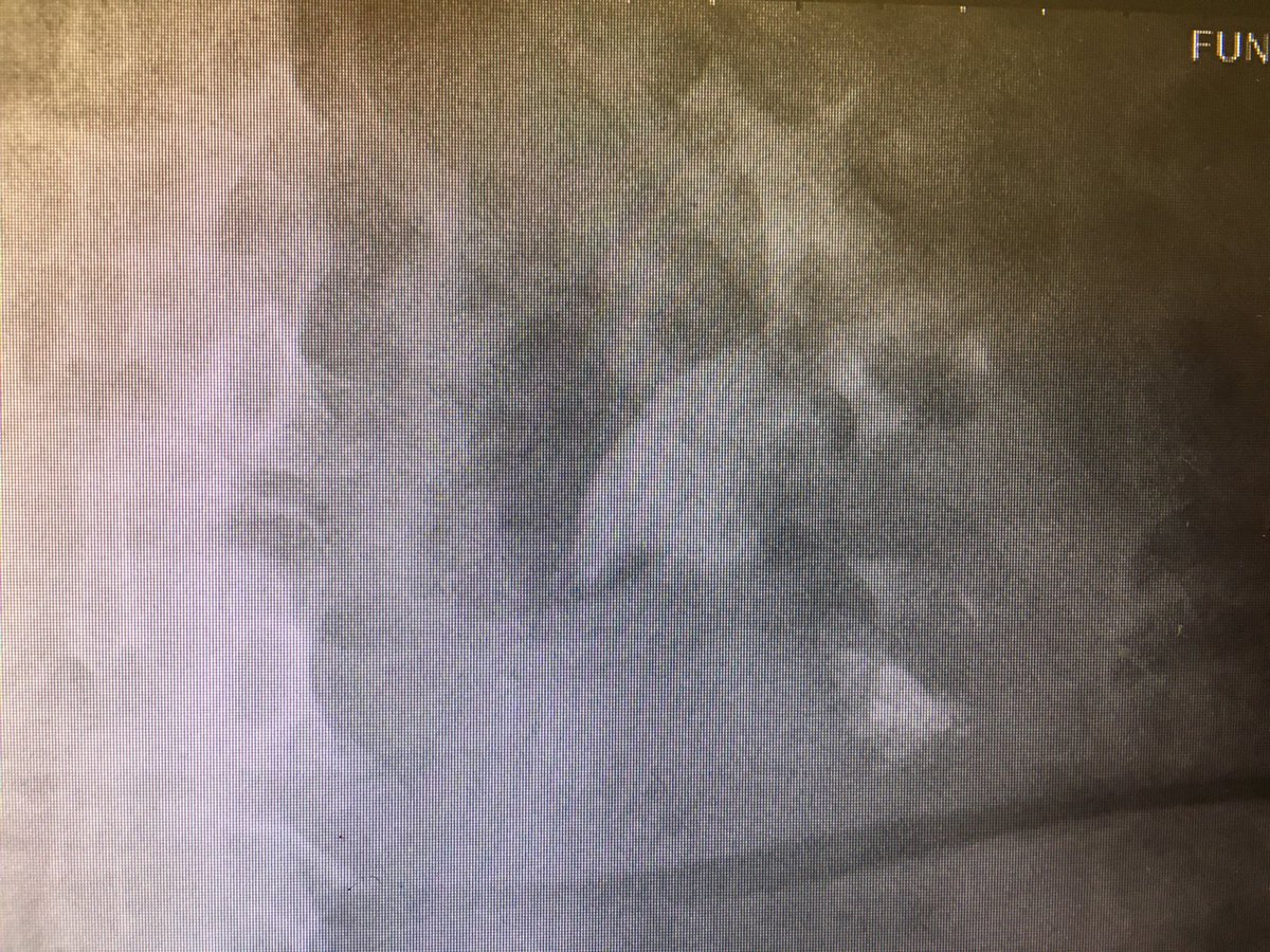 Oriol Angerri tweet media