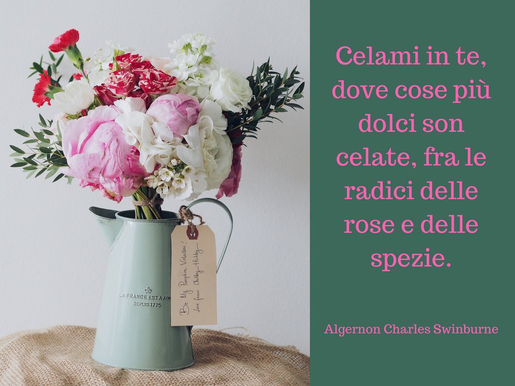 vintwatch1955's tweet photo. "Un giorno troverò le parole giuste, e saranno le più semplici." Jack Kerouac
#poggioallasala #enotecasanbiagio #montepulciano #nobile https://t.co/zc3FG5X1VG