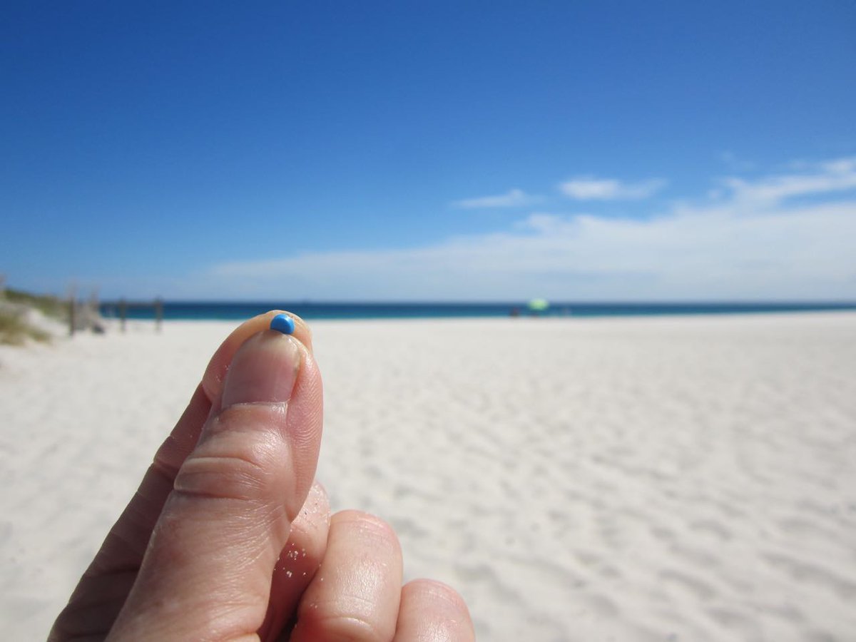 lg2tbeach's tweet photo. @greatnurdler I found my 1st nurdle in Australia, easier in sand than our seaweed shores. Where they are mostly found here? The East coast? https://t.co/l4z7OGewo2