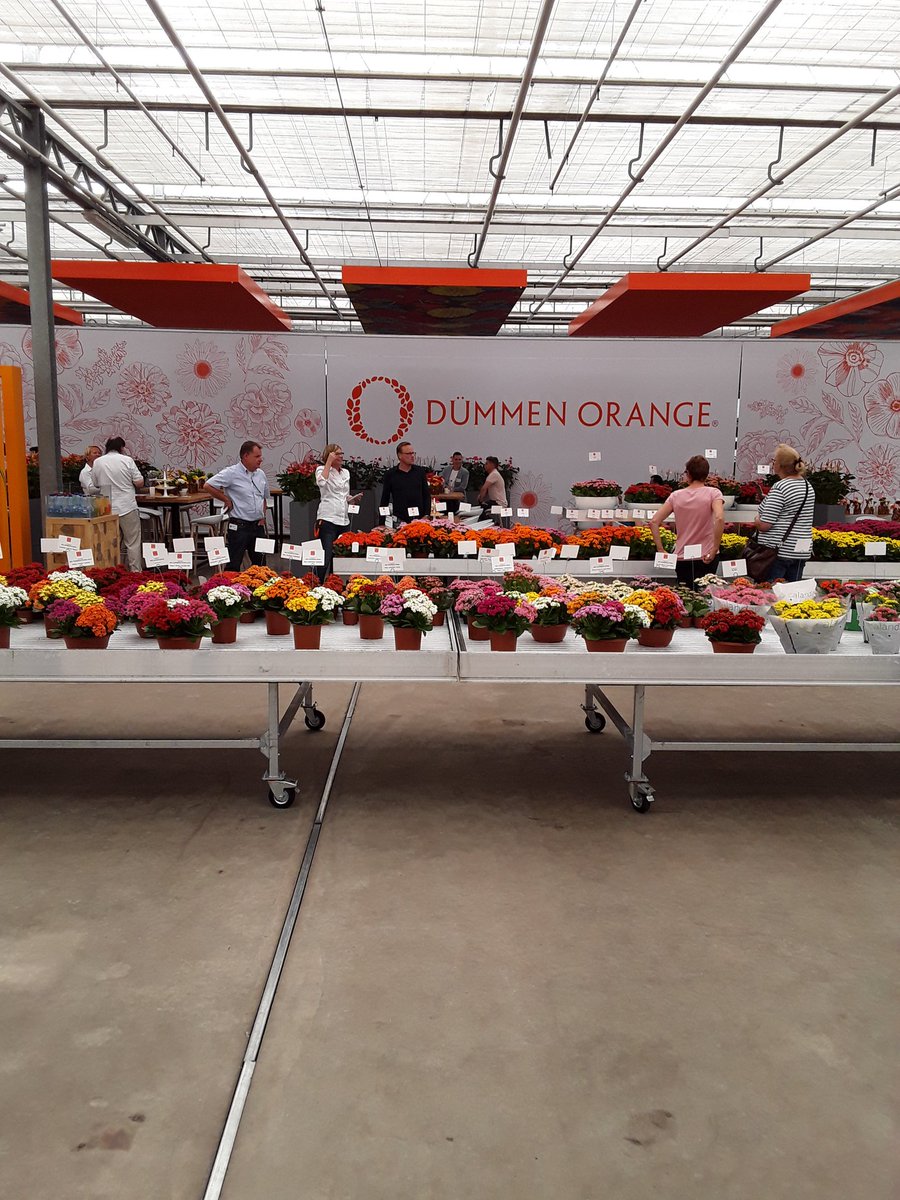 <a href="/flowertrials/">FlowerTrials</a> op bezoek bij @DummenOrange