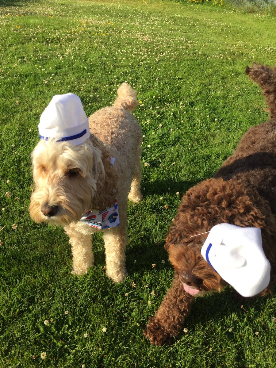 DotisDogs's tweet image. Thanks to @StitchAndSewCo we get to dress up like our @dannymaconline #OnTheTown we can't wait to see our Danny &amp;amp; @carleystenson
