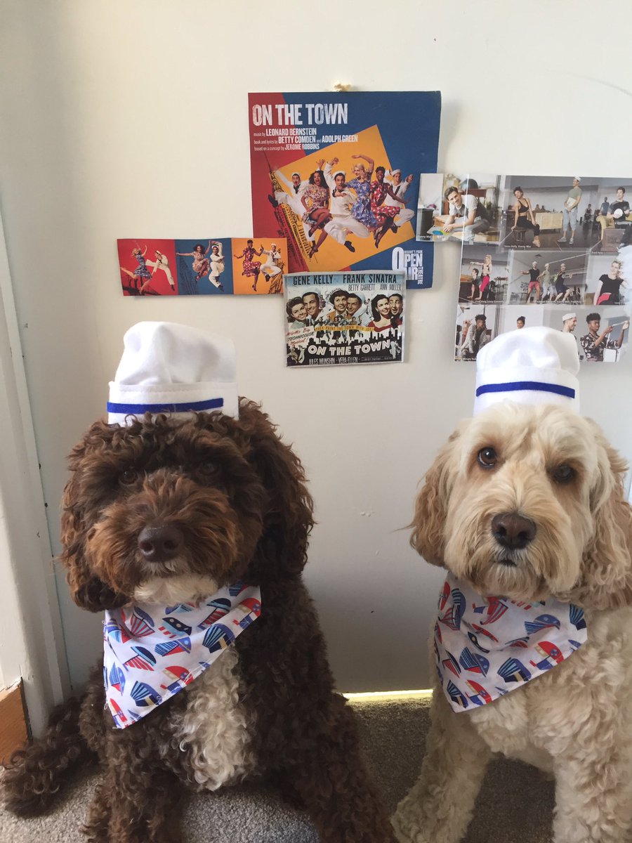 DotisDogs's tweet image. Thanks to @StitchAndSewCo we get to dress up like our @dannymaconline #OnTheTown we can't wait to see our Danny &amp;amp; @carleystenson