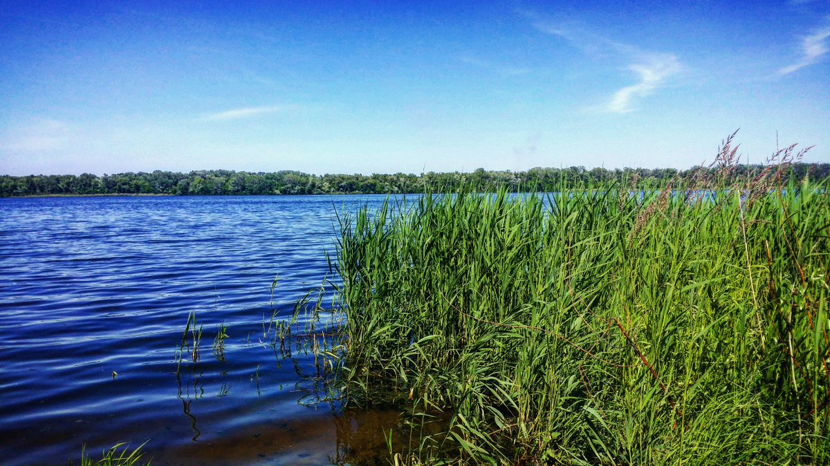 Boozanovskaya's tweet photo. #нижняяхортица #природа #моефото #люблюфотографировать #nature #river #днепр #запорожье https://t.co/grAVueOaV1