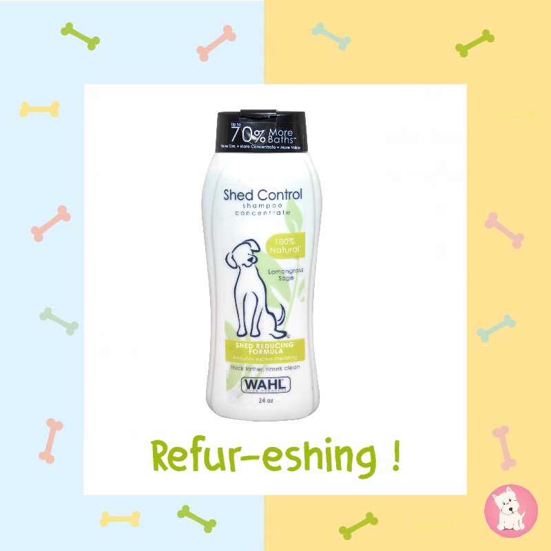 whatspup_'s tweet photo. Keep your furry friend fresh with our new Shed Control Shampoos infused with lemongrass! Go to https://t.co/9KUfUbgkxI to get yours today! https://t.co/dSG6UtV1lK