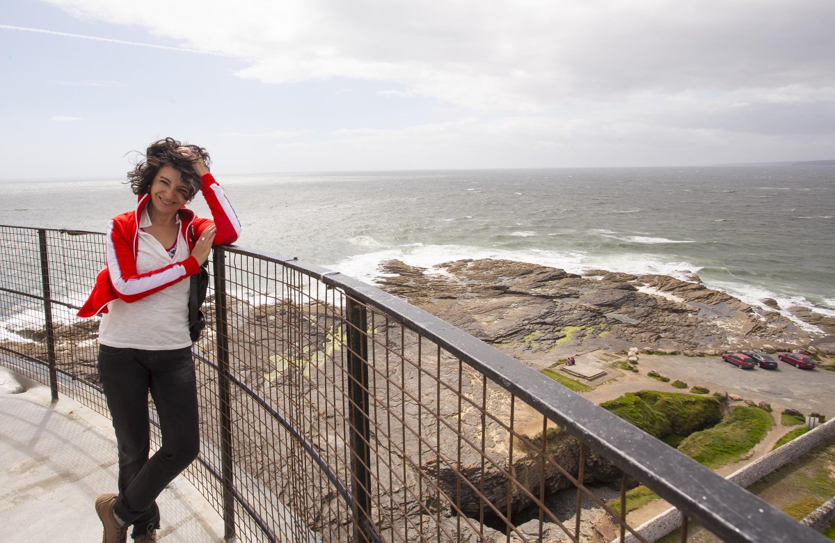 Fáilte Ireland tweet media