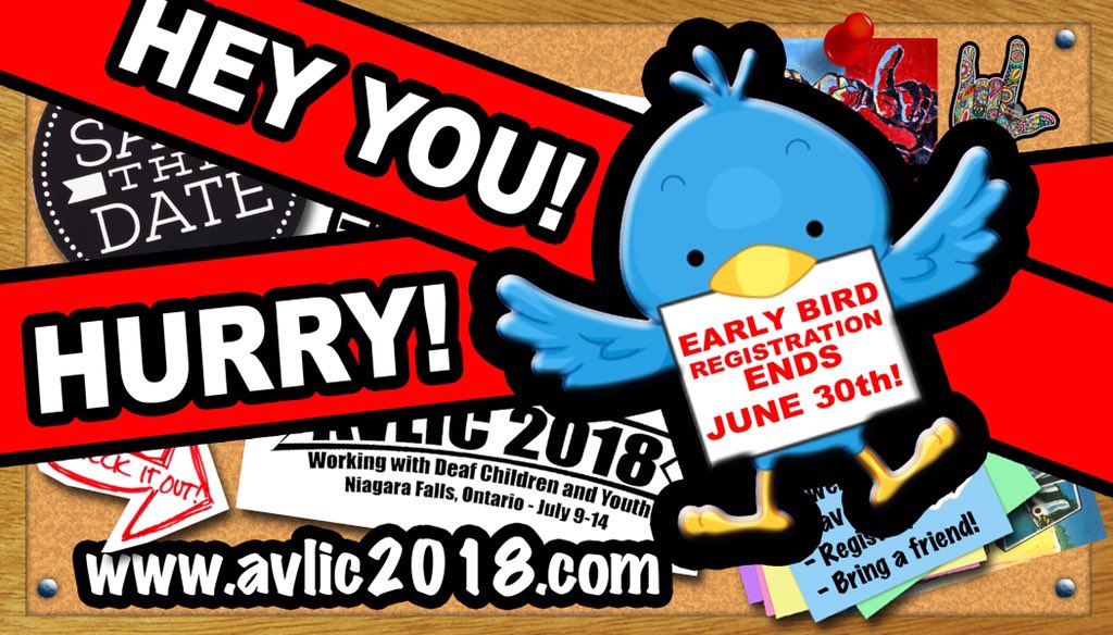AVLIC2018's tweet photo. The deadline for the early bird registration is fast approaching... https://t.co/HWFi0UKnVW