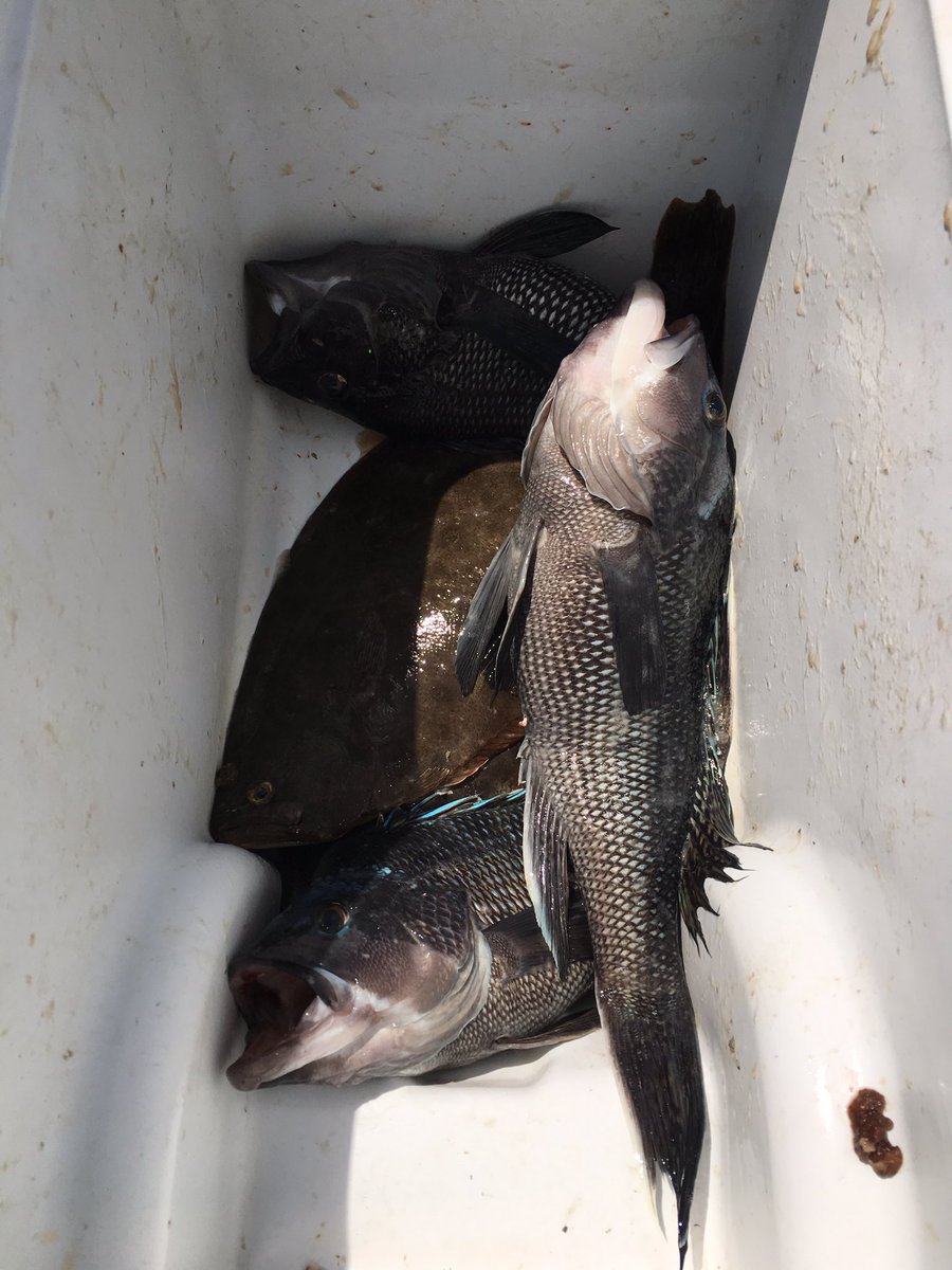 bleeboo's tweet image. Great day off yesterday 😎