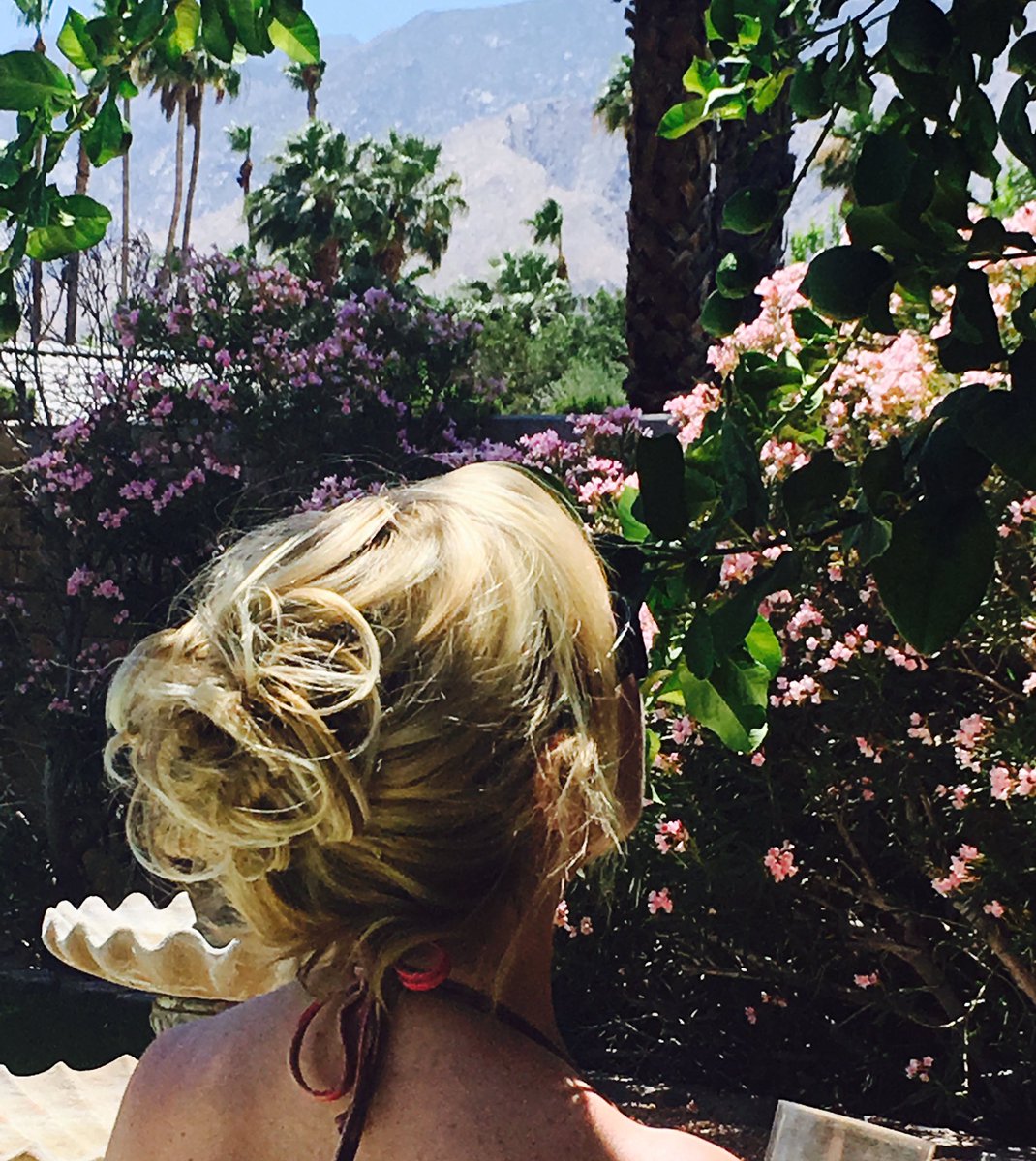sliminthesnow's tweet photo. #palmsprings #palmdessertlife https://t.co/Wk3OVrxSgY