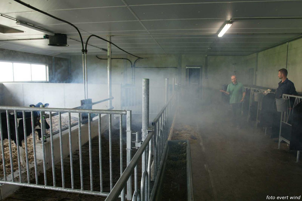 evert_wind's tweet photo. Vandaag bij 3 jongveestallen rookproeven uitgevoerd. Instellingen temp bandbreedte rv min en max ventilatie goed ingesteld @AgrifirmExlan https://t.co/NcoWsF1Rbc