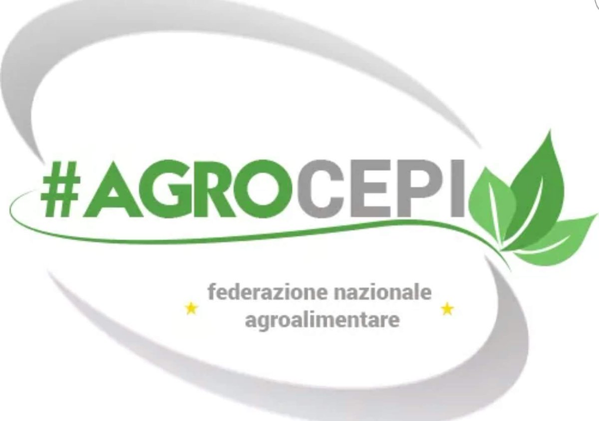 corradomartina1's tweet photo. #Roma #Cepi-Agrocepi con #Assoimprese.#Internazionalizzazione. #Made #Italy. https://t.co/2xfdbrUPXI