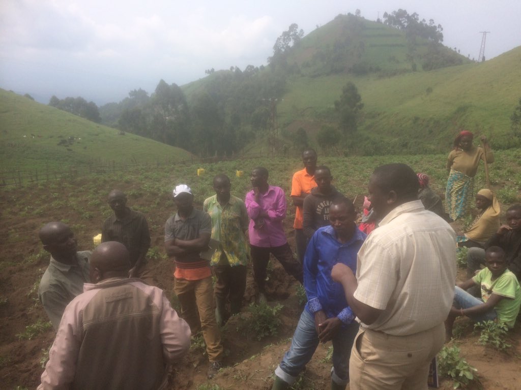 niekthijssen's tweet photo. Today visit potato coops in Masisi DRC, important potato producing region. Need for Cooperative Development. @Jimliseki @Agriterra #FOPAC https://t.co/NJWBuSZdWD