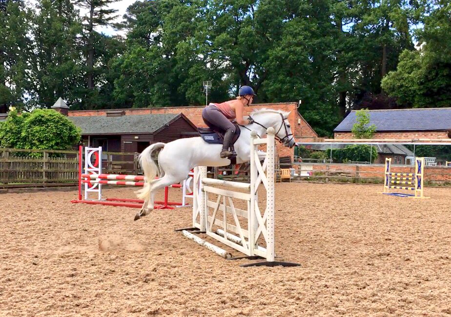 NMillsEventing's tweet photo. This pony is class! #unicorn 🦄 #eventpony #derinoghranrambler https://t.co/nBAUT1h6bD